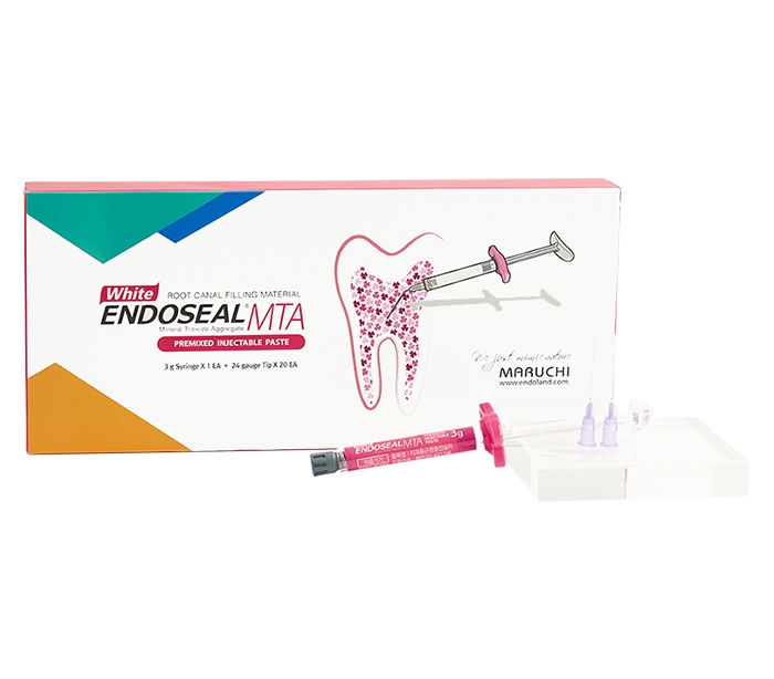 سیلر بایوسرامیک ماروچی Endoseal TCS